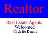 RE Agents